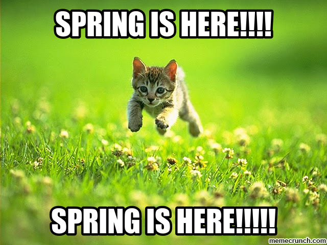 I Love Spring Memes - Spring Countdown